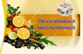 NECESIDADES NUTRICIONALES DEL CUERPO HUMANOiespoetaclaudio.centros.educa.jcyl.es/sitio/upload/nec... · necesidades nutricionales del cuerpo humano ... la pirÁmide alimentaria en