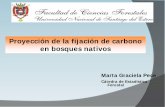 Proyección de la fijación de carbono en bosques nativosfcf.unse.edu.ar/eventos/9-seminario-ambiente/presentaciones... · Superficie de bosque nativo correspondiente a los años