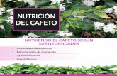 NUTRICIÓN DEL CAFETO - sustainabilityxchange.info³n... · Para reforzar el efecto de la fertilización, sobre la economía de la parcela, se ilustra la partici-pación del fertilizante