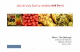 Acuerdos Comerciales del Perúº-Alvaro-Díaz... · Plan Estratégico Nacional de Exportación ... Fibra de Alpaca Ica Carne de Cuy Palta Pisco Ica Palta Pisco ... Mejorando el clima