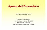 R.E. Alvaro, MD, FAAP - sap.org.ar · apnea del prematuro. 3. Inhalación de concentraciones bajas de CO 2 regulariza la respiración periódica. 4. La teofilína y el CO 2 disminuyeron