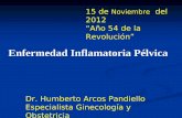 Enfermedad Inflamatoria Pélvica - uvsfajardo.sld.cuuvsfajardo.sld.cu/sites/uvsfajardo.sld.cu/files/enfermedad_infl... · Complementarios: Hemograma con diferencial Eritrosedimentación