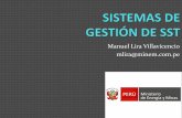 Manuel Lira Villavicencio mlira@minem.com MINEM.pdf · organización controlar sus propios riesgos en el lugar de trabajo a partir de una identificaci ón y ... • IPER • Requisitos
