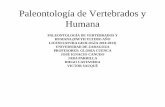 Paleontología de Vertebrados y Humana - … PAVYH licenciatura... · arboreal behaviour in the A. afarensis locomotor repertoire. ... evolución del cerebro y los sentidos ... resto