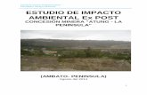 Estudio de Impacto Ambiental Expost Area Minera Atung-La ... · Estudio de Impacto Ambiental Expost Area Minera Atung-La Península 6 INTRODUCCION La minería es una actividad industrial