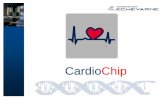 CardioChip - eic.cat · por ADN, una macromolécula ... La patología de base de las ECV es la aterosclerosis, la cual presenta una ... una muestra de sangre o saliva del paciente.
