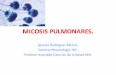 MIcosis - medicinafortyone.files.wordpress.com · Micosis por hongos patógenos oportunistas. Candidiasis (Candida spp). • Levadura unicelular comensal habitual de orofaringey tracto