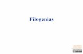 Filogenias - Bioinformatics & genomics — … · Filogenia vs taxonomía En taxonomía se pretende clasificar. Se puede hacer una taxonomía de coches o de tipos de cánceres, pero