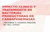 Presentación de PowerPoint - clinicameta.co · TRATAMIENTO DE BACTERIAS PRODUCTORAS DE CARBAPENEMASAS JOHANNA V. OSORIO PINZÓN. MD, MSc, DTM&H. Contenido 1. Aspectos generales 2.