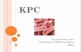 kpc - Ministerio de Salud – Buenos Aires Provincia · OXA-48. KPC 2014 IMPORTANCIA en Salud Pública ... Tratamiento: El uso de ... bacteriemia. 57,8%. 13,3%. NC; Antimicrob Agents.