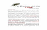 lo que debemos saber del dengue - Dirección de …cenedic.ucol.mx/noaldengue/lo_que_debemos_saber_del_dengue.pdf · Es por esta razón que el control del Aedes Aegypti tiene que