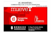 EL BIODIÉSEL - probio-project.com · BIODIESEL MX15 BIONOR BOLETIN 1 GASOIL PARTIDA X ... iniciativas en la gestión de residuos para fabricar biocombustibles para usar en transporte.