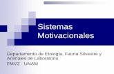 Comportamiento de Mantenimiento - …amaltea.fmvz.unam.mx/ETOLOGIA/TEMAS/Sistemas Motivacionales2.pdf · Motivación Proceso responsable de la conducta orientada hacia metas. Es el