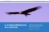 CARROÑEROS ALADOS - argentinambiental.comargentinambiental.com/wp-content/uploads/pdf/AA55-52-Carroneros... · variados recursos alimentarios a los seres vivos que los utilizan en