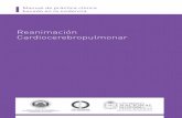 Reanimación Cardiocerebropulmonar · 2014-10-24 · Declaración de Muerte Cerebral 25 Medicamentos 28 ... de paro cardiaco en salas de cirugía ocurren con una distribución ...