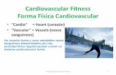 Cardiovascular Fitness Forma Física Cardiovascular conceptos para planificar tu entrenamiento •Intensidad: Es el componente cualitativo del entrenamiento. Se refiere al grado de