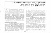 chapingo.mx · 2014-10-27 · histórico de la ganadería bovina en Tabasco y norte de Chiapas, ... trabajo: a su vez, pocos cambios en Ios pastos, ganado y conocimientos (Cuadro