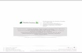 Artículo / Article - redalyc.org · Proyecto académico sin fines de lucro, desarrollado bajo la iniciativa de acceso abierto. ... reforestación. ... Durango (500 ha-1 año) y Chihuahua