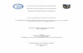 FACULTAD DE CIENCIAS ECÓNÓMICAS ESCUELA DE ESTUDIOS DE ...bibliotecadigital.econ.uba.ar/download/tpos/1502-1083_Molina... · MAESTRÍA EN RECURSOS HUMANOS Tesis de Maestría en