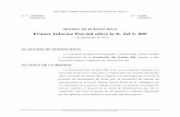 Primer Informe Parcial sobre la R. del S. 889 - … R. del S. 889.pdf · proyecto de movimiento de tierra para la instalación de antenas de ... en consideración todos los aspectos