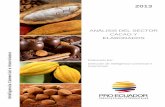 ANÁLISIS DEL SECTOR CACAO Y - Infocafes – El …infocafes.com/.../2016/06/PROEC_AS2013_CACAO.pdf · que se utilizaba como moneda y gracias a sus cualidades nutritivas, como alimento.