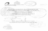 Fósiles marinos del Neógeno de Canarias (colección de …olivirv.myspecies.info/sites/olivirv.myspecies.info/files/Fosiles... · al proyecto Estudio de los Indicadores Paleoclimáticos