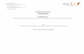 PROYECTO: AUUKKEERRAA Informe - Euskadi.eusnasdap.ejgv.euskadi.eus/contenidos/documentacion/aukera/es_def... · Elaborar un plan de actuación viable, ... Desarrollo a escala piloto