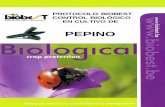 PEPINO - Biobest · En cultivo de pepino existen daños estéticos sobre el fruto, provocando incluso el curvado del pepino. Es un ácaro depredador polífago, alimentandose de distintos