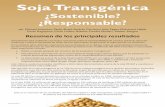 Soja Transgénica - gmwatch.org · malformaciones esqueléticas en los fetos.18 • El AMPA, el principal producto de la degradación ambiental del glifosato, causa daños al ADN