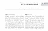 Vacuna contra el neumococo - media.axon.esmedia.axon.es/pdf/70991.pdf · inmunodeficiencia, natural o adquirida o con esplenectomía anatómica o funcional, como en la anemia de células