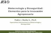 Biotecnología y Bioseguridad: Elementos para la … · Desafíos para la agricultura y los sistemas agroalimentarios 6 - Productividad y competitividad - Sustentabilidad -Gestión