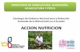 Presentación de PowerPoint - Instituto Interamericano …legacy.iica.int/Esp/organizacion/LTGC/ForosTecnicos/Documents/... · MINISTERIO DE AGRICULTURA, GANADERÍA, ACUACULTURA Y