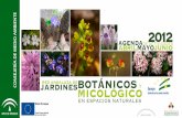 red aNdaLuza de BOTÁNICOS - Portal UCA – Portal ... · fotos originales a jardinesbotanicos.cma@juntadeandalucia.es ... ld a re andaluza de Jardines Botánicos y Micológico en