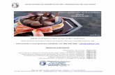 ASOCIACIÓN DE DIABÉTICOS DEL PRINCIPADO DE …docsafedownload.net/fedesp/bddocs/4/Descubriendo la Pasteleria par… · Ficha técnica cobertura de chocolate negro (44% ... 053/780463