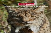 Doñana, naturaleza y fotografía - Club de Viajes Transviaclubdeviajestransvia.com/.../11/CLUB-DONANA-Despertar-de-la-Prima… · adentrará en los secretos mejor guardados del parque