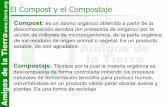 El Compost y el Compostaje - arbore.org · Sistemas de Compostaje II Compostaje descentralizado - Compostaje doméstico • En jardín, balcón, terrazas, patio, huerto o, incluso,
