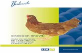 Guia de manejo de la nutricion Babcock brown · guía de manejo de la nutrición de ponedoras comerciales 2009-10 pág | 3 contenido fase de crÍa - alimentaciÓn durante la fase