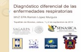 Diagnóstico diferencial de las enfermedades respiratoriassistemaproductoaves.org.mx/.../ramon_lopez.pdf · Reproductoras ligeras en producción : 1’261,364 Reproductoras ligeras