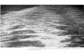 La estela de los buques es como la huella del …revistamarina.cl/revistas/1969/1/mbarka.pdf · Situado al Sur y Occidente de la América del ... La Corriente de Humboldt es el nexo