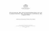 Procesos de biorremediación en el tratamiento de …±agonzalez.2017.pdf · Procesos de biorremediación en el tratamiento de residuos sólidos de cigarrillo Jeimmy Roxana Peña