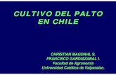 PRESENTATION: CULTIVO DEL PALTO CULTIVO DEL PALTO … · cultivo del palto en chile christian magdahl s. francisco gardiazabal i. ... ciclo fenolÓgico - palto hass u.c.v. quillota