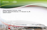 Prospectiva Gas Natural y Gas LP 2013-2027 - olade.org · 4.9 Inversiones de PEMEX Exploración y Producción 155 ... Cuadro 3.30 Oferta nacional de gas natural, ... 2009-2012 126