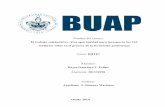 BUAP · 2014-12-05 · 1 Nombre del ensayo: El trabajo colaborativo: ... este trabajo colaborativo las metas a alcanzar involucran a todos los miembros del grupo