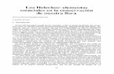 Los Heléchos: elementos - e-spacioe-spacio.uned.es/fez/eserv/bibliuned:Aldaba-1989... · Los pteridófitos (del griego pteris, helécho) como grupo heterogéneo y polimorfo y a ...