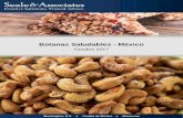 Botanas Saludables - Méxicomnamexico.com/wp-content/uploads/2017/05/Healthy-Snacks-1.pdf · • Dentro de los jugadores representativos en la industria se encuentra PepsiCo, Inc.,