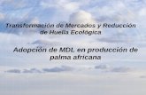 Adopción de MDL en producción de palma africanaawsassets.panda.org/downloads/transformacion_de_mercados...La palma africana como fuente de energía renovable • El procesamiento
