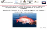 PROGRAMA MAESTRO PARA EL COMITÉ ESTATAL …€¦ · 1 acciones tendientes al desarrollo de los productores de las ... pesca y acuicultura-uan julio, 2005. 2 acciones tendientes al