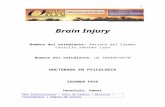 Brain Injuryaiu.edu/applications/DocumentLibraryManager/upload... · Web view... la disminución de errores podría ser un decisivo componente de la terapia de memoria d) Estimulación