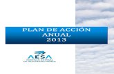 PLAN DE ACCIÓN ANUAL 2013 · presupuesto de AESA para el año 2013 5ª.- Relativa a los planes de inspecciones, auditorías, formación, informatización y certificación de aeródromos.