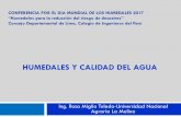 HUMEDALES Y CALIDAD DEL AGUA - Asociación Peruana de …apinam.org/sites/default/files/webfiles/2017/doc/hume... · 2017-04-24 · de efluentes de diverso origen. ... Purificación